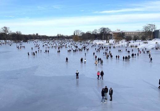 Winter am Aasee