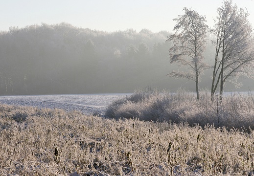 PG03 5 Januar am Meckelbach, Januar