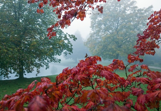 Park im Herbst