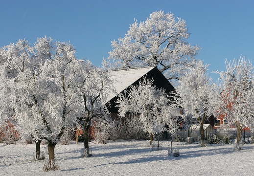 Leute 11 Jan Welsingheide