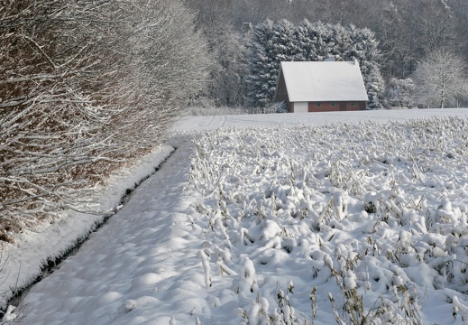 Leute 14 Jan Welsingheide