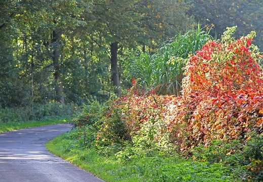 Leute 16 Sept Wenningweg