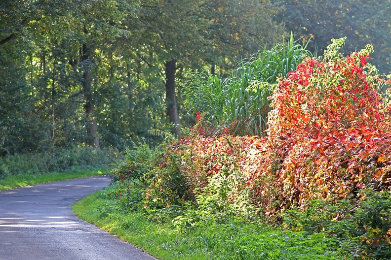 Leute_16_Sept_Wenningweg.jpg