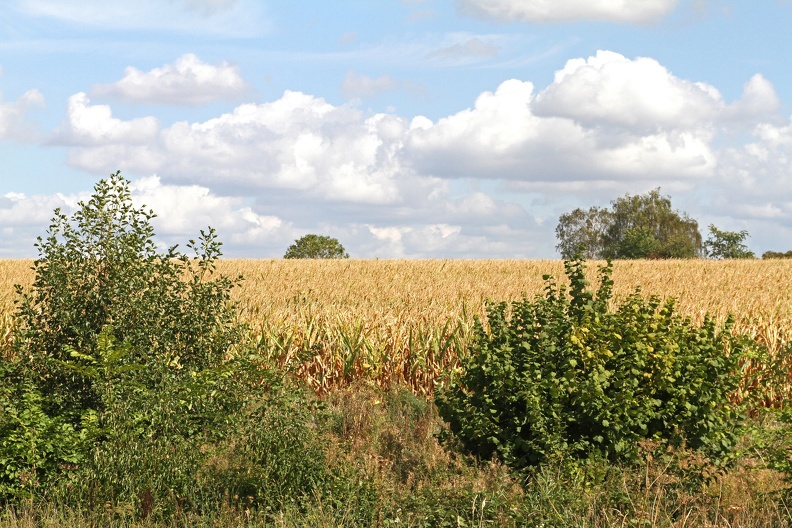 Leute_23_Aug_Altenroxel.jpg