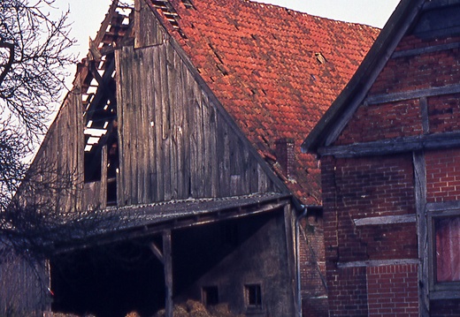 AE II 31