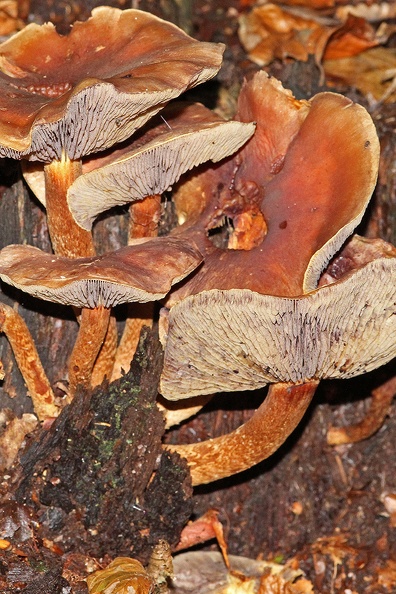 C39_2010_09_30_0897_a_Web.jpg
