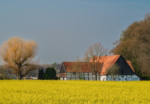 Hof an der Hohenholter Straße