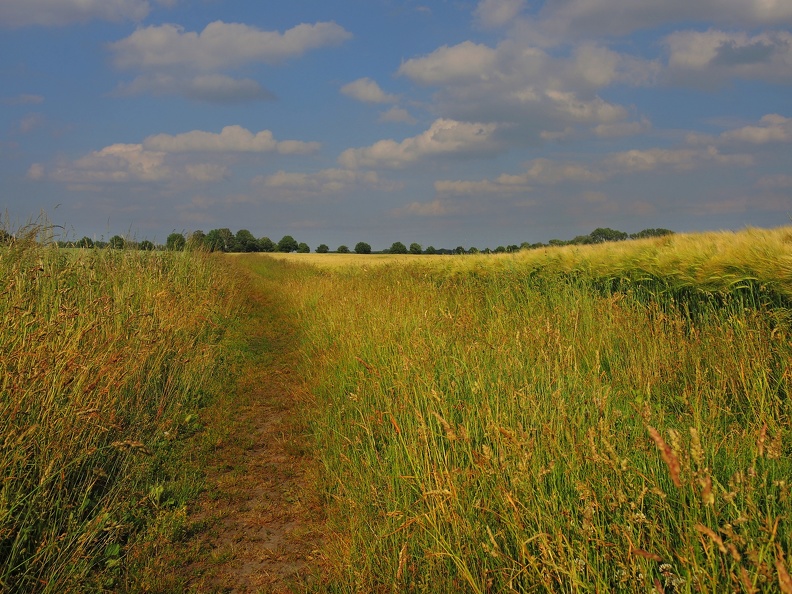 2015-06-13-053kORRps 2022.jpg