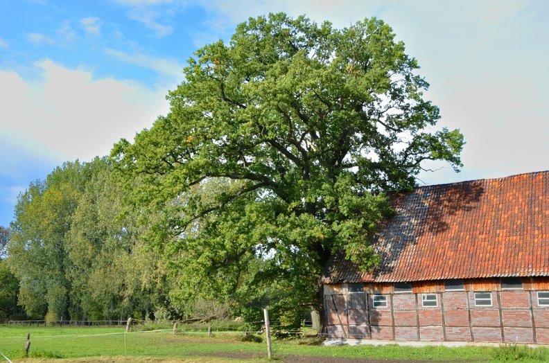 2011-1007 029Korr PS.jpg