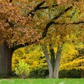 10 Hülshoffs Park im Herbst.JPG