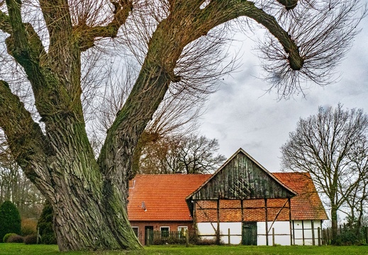 Hof an der Hohenholter Straße 