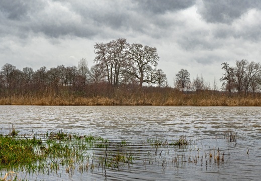 Hochwasser an Mündung des Krummen Baches in die Aa, Schonebeck