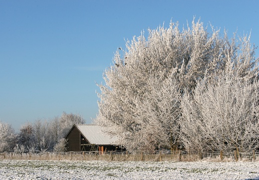 Leute 10 Jan Welsingheide