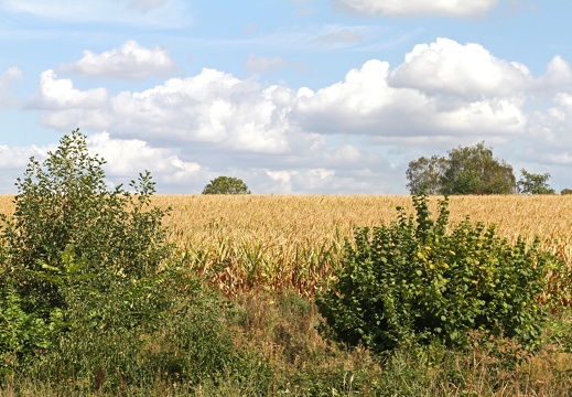 Leute 23 Aug Altenroxel