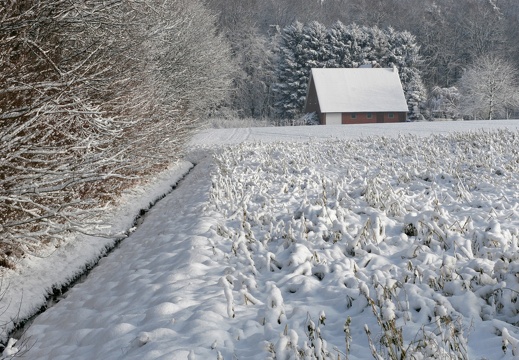 Leute 14 Jan Welsingheide