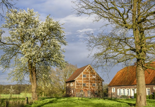 WS Hofidylle Bauerschaft Herkentrup - nahe Overwaul