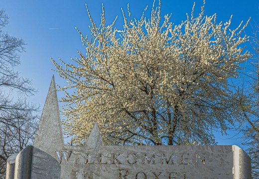 Begrüßung im Frühjahr 