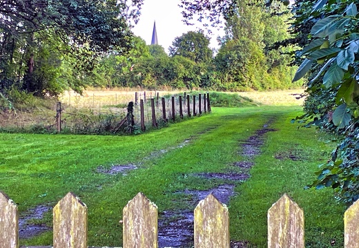 P.O. 5   IMG 6001