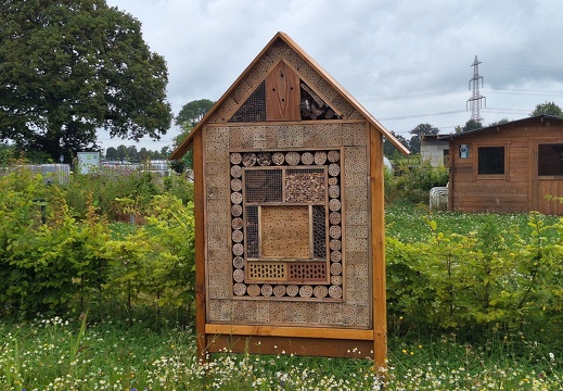 BT-Bienenhaus 2024