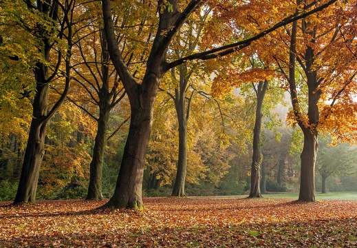 Im Herbst 