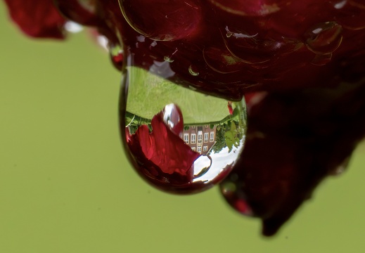 Tropfen Haus Ru╠êschhaus