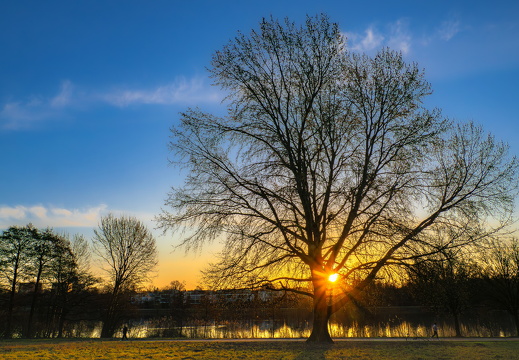 WS Morgendliche Sonnenstrahlen am Aasee